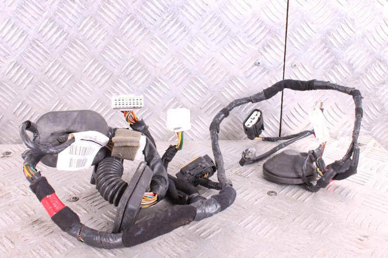 Wiązka przewodów drzwi przednich